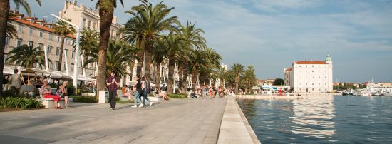 The palms along the waterfront promenade in Split