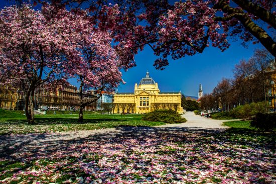Art Pavillion- Zagreb in bloom (credit: Julien Duval)