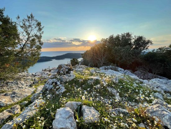 The island of Mljet where over two-thirds of the land is covered by lush forest and vegetation. Photo credit: Aleksandar Vučin