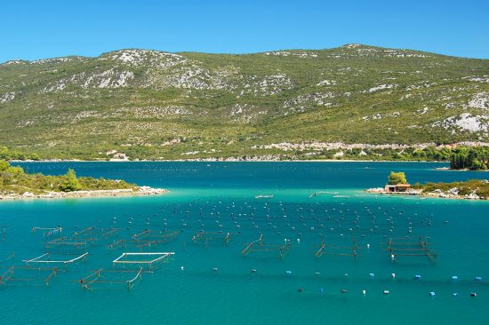 The sheltered bay of Ston makes it ideal for shellfish farming and the oysters from the area are considered to be some of the best in the world.