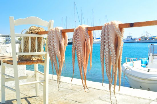 Traditional greek sea food - octopus, drying in the sun, Naxos, greece